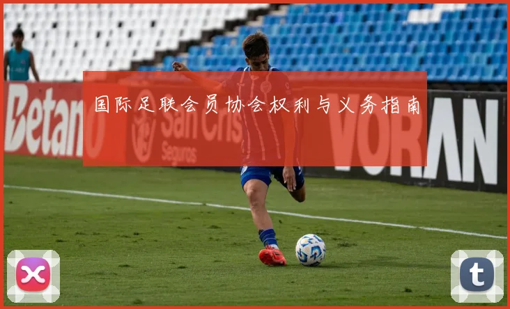 国际足联会员协会权利与义务指南
