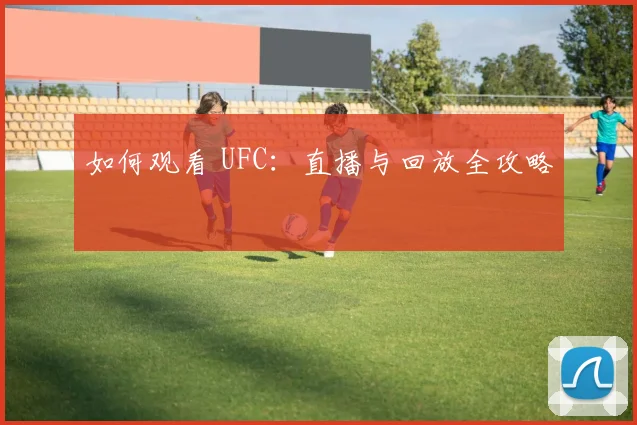 如何观看 UFC：直播与回放全攻略