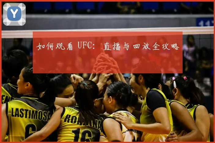 如何观看 UFC：直播与回放全攻略