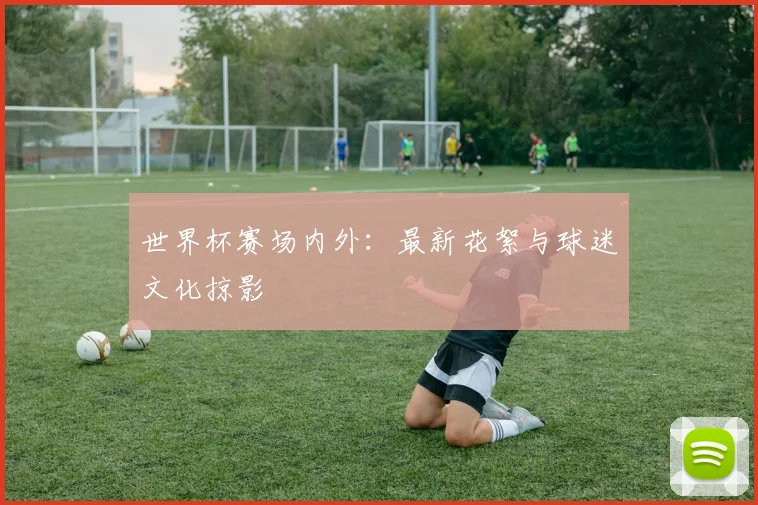 世界杯赛场内外：最新花絮与球迷文化掠影